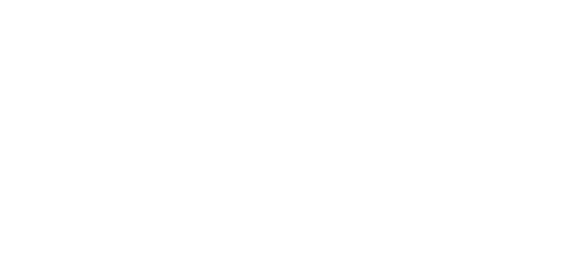 AniViRus Productions